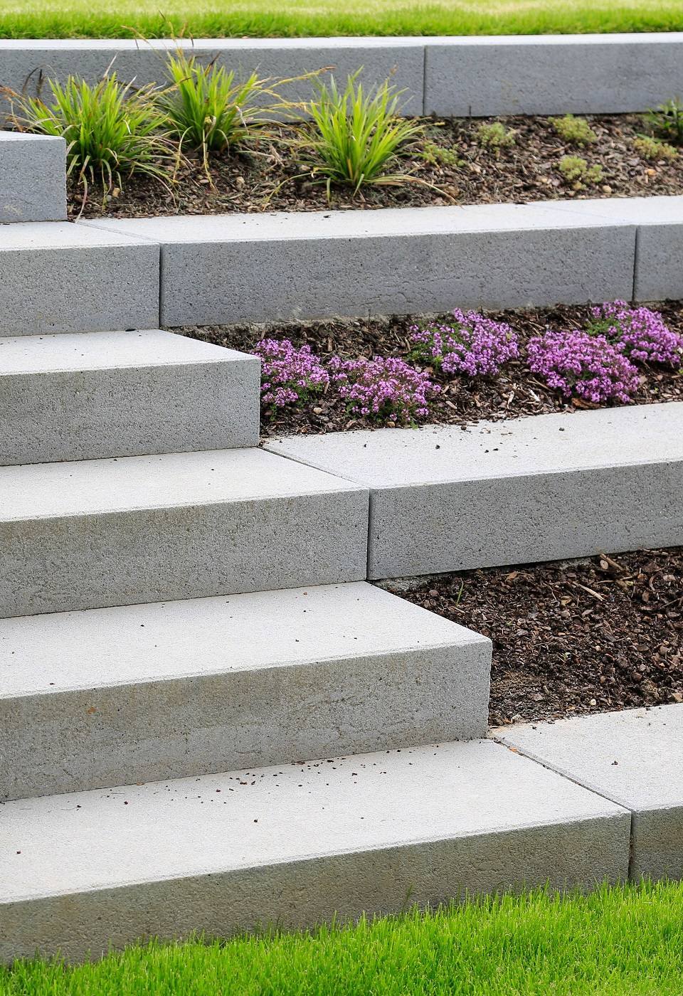 Moderne terrassenförmige Gestaltung eines Garten  Hanggrundstücks: Treppe und Stufen aus Betonsteinen mit Gräsern und lila Blumen geschützt mit Mulch und begrenzt von einer grauen Naturstein Mauer
